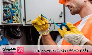 برقکار جنوب تهران